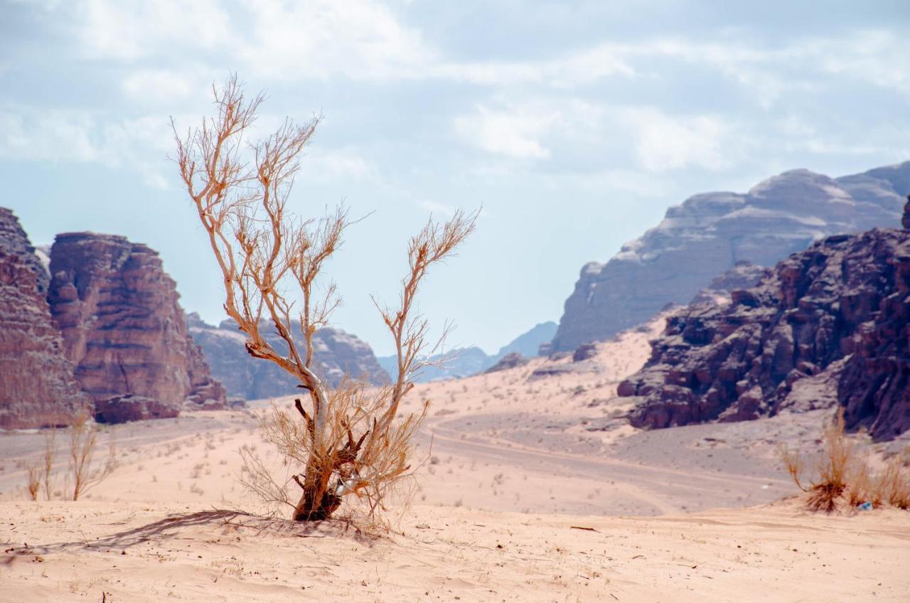 Arena Desert Camp & Adventurers Wadi Rum Exterior foto
